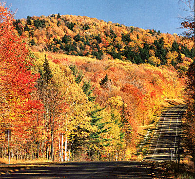 seasons.flyingdreams.org seasons.flyingdreams.org