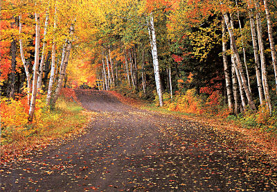 Country trail