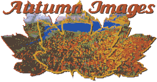 Autumn Images