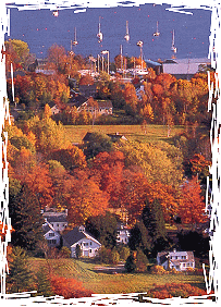 Maine harbor with leaves