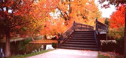 Fall in Roger Williams Park, Providence, Rhode Island (from Providence Journal website)