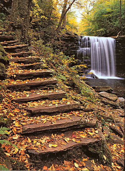 Steps to the falls