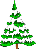 snowy tree