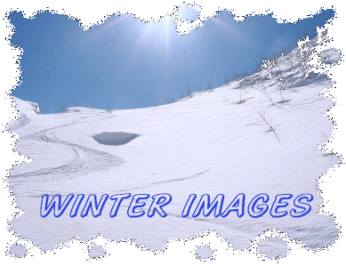 Winter Images Header